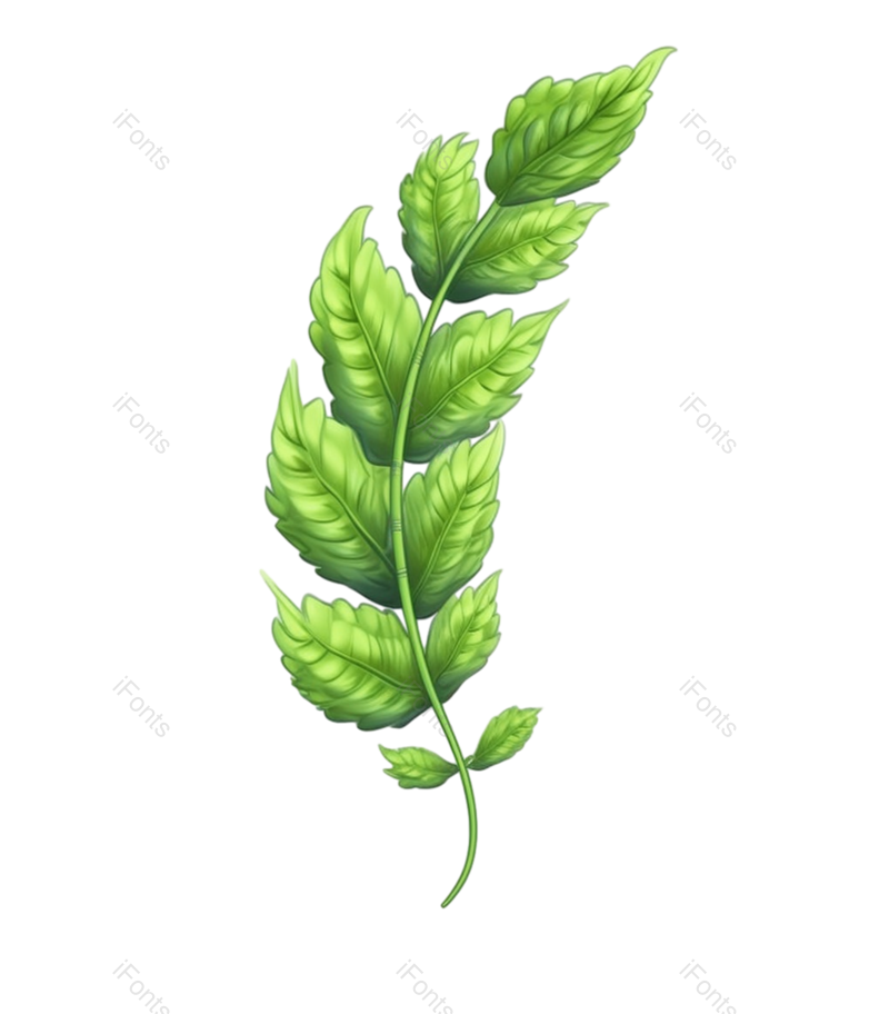 清新图片,户外元素,自然PNG,绿色免抠素材